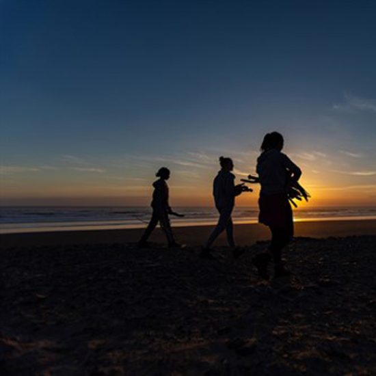 Sunset-firewood-collecting_520x520