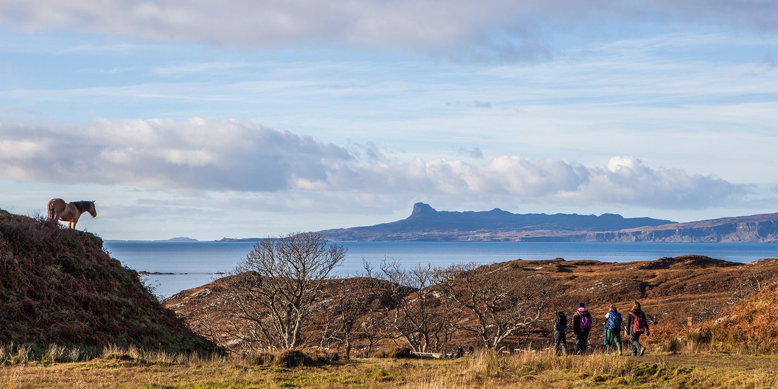 Loch Eil 1600x800 wild pony